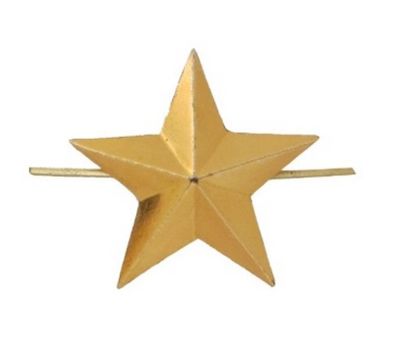 Звезда на погоны пласт. на закрутке, малая 13 мм, иссиня-черная