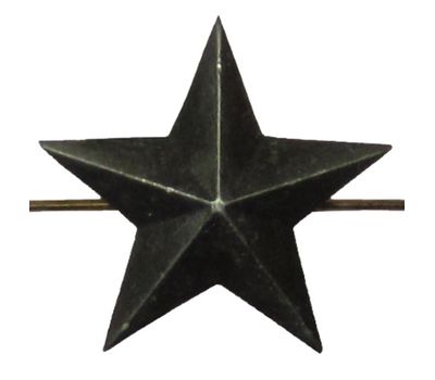 Звезда на погоны металл., большая 20 мм, защ.